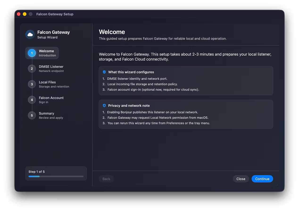 Falcon Gateway setup wizard